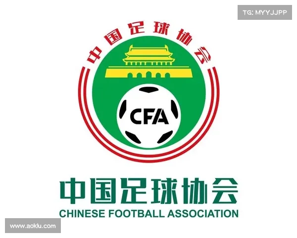 中国足球全面振兴路线图从青训体系到职业联赛的系统化提升方案